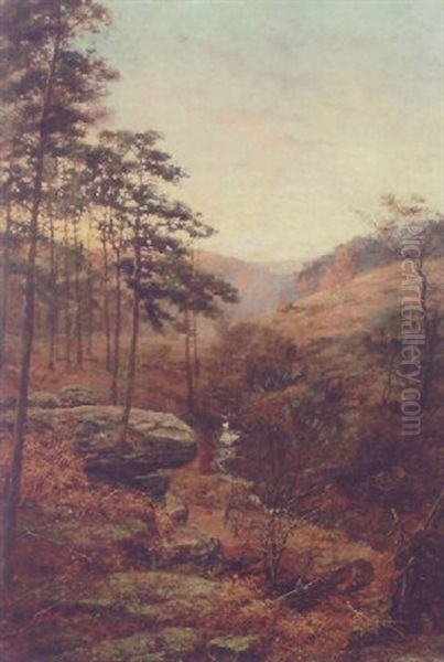 A Moorland Stream - view 1