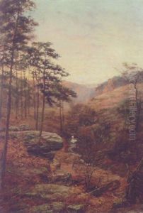 A Moorland Stream