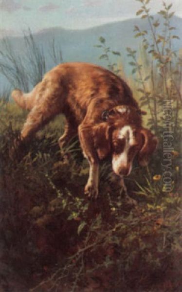 Dogs In Briars - view 1