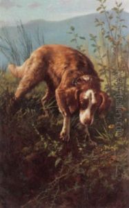 Dogs In Briars Dogs In Briars