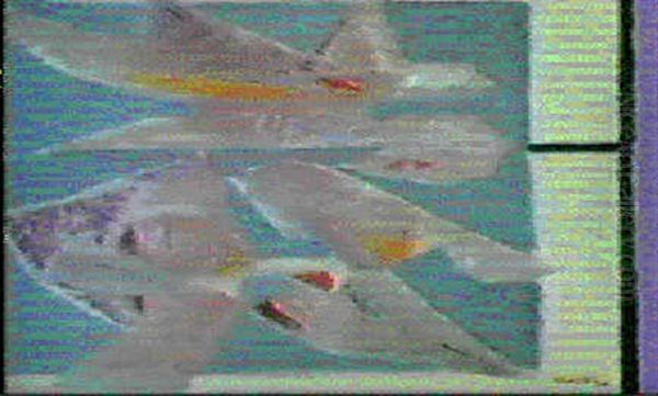 Bird Forms - view 1