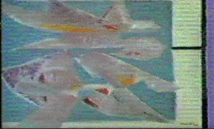 Bird Forms by Jankel Adler