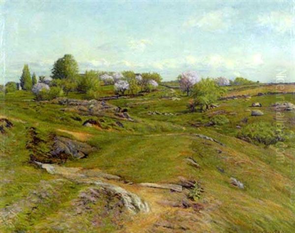 Spring Apple Trees In Bloom - view 1