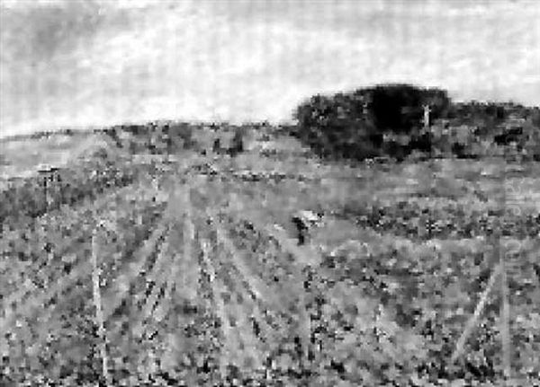 Le Jardin En Fleurs - view 1