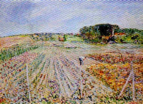 Le Champs De Fleurs - view 1