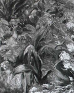 Fuchsien Und Weise Bluten Im Treibhaus