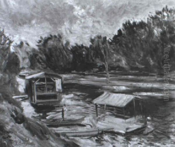 Excursion Boats On River - view 1