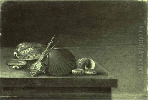 Muschelstilleben - view 1