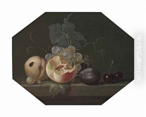 Peaches, Grapes On The Vine, Black Plums, Cherries And A Fly, All On A Stone Ledge by Willem Van Aelst
