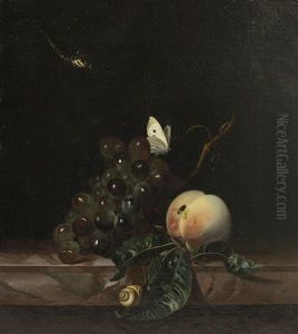 Still Life With Grapes, A Peach, A Fly, A Cabbage-white, A Snail And A Dragonfly by Willem Van Aelst