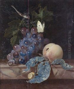 A Still Life With Grapes, A Peach, A Cabbage-white, A Dragon-fly, A Snail And A Fly, All On A Marble Ledge by Willem Van Aelst