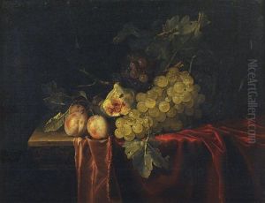 Grapes, Plums, Figs And A Melon On A Partly Draped Stone Ledge by Willem Van Aelst