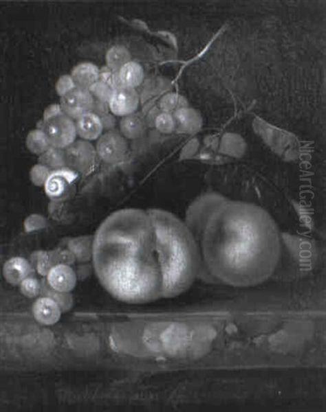 Fruit And A Snail On A Marble Ledge - view 1