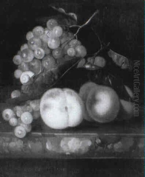 Stilleben Mit Trauben, Pfirsichen Und Schnecke - view 1