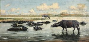 Buffalos by Hans Aescher