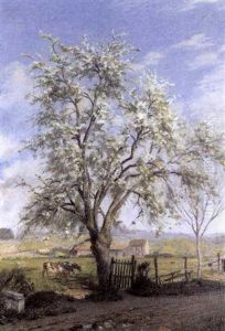 Arbres Au Printemps by Charles-Jean Agard