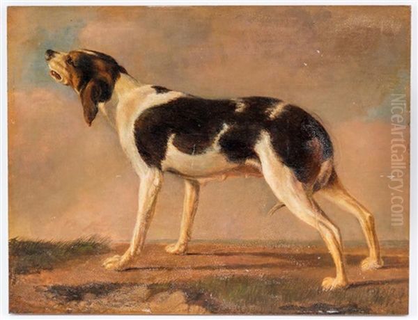 Chien Qui Aboie - view 1