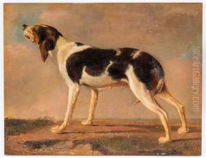 Chien Qui Aboie Chien Qui Aboie