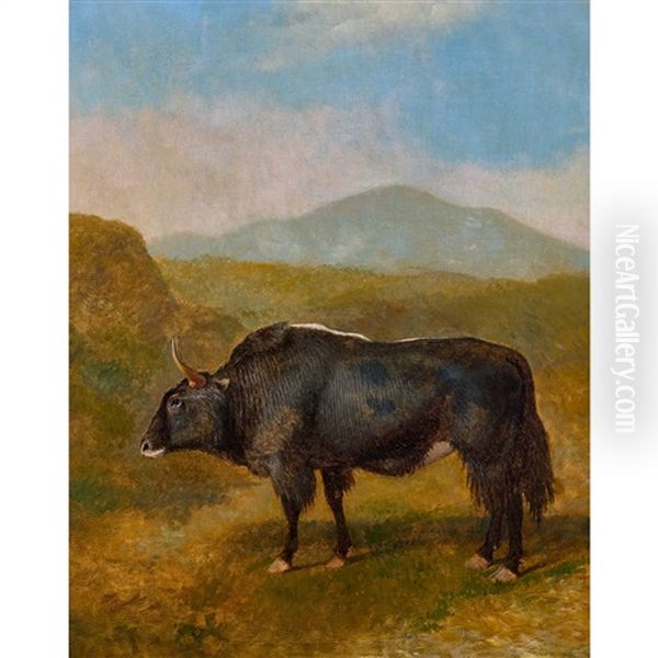 Buffle Dans Un Paysage Montagneux - view 1
