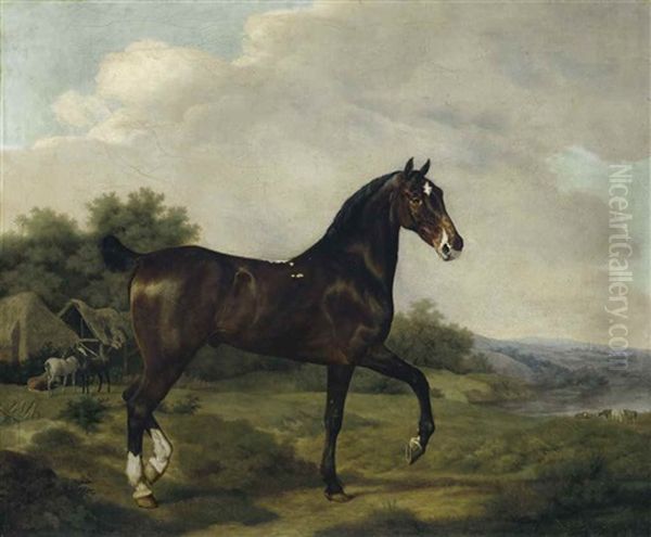 A Dark Bay Hunter In An Extensive Landscape, Horses And Cattle Beyond - view 1