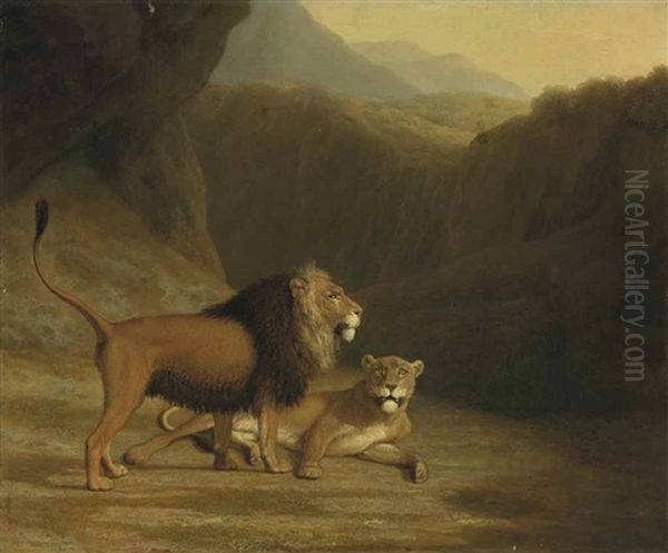 A Lion And A Lioness In A Rocky Valley - view 1