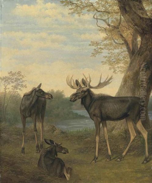 Elk In A River Landscape - view 1