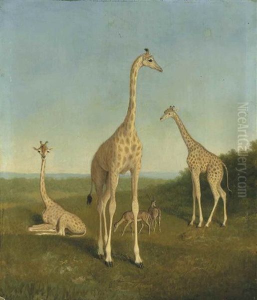 Giraffes With Impala In A Landscape - view 1
