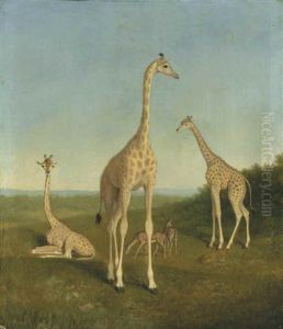 Giraffes With Impala In A Landscape Giraffes With Impala In A Landscape