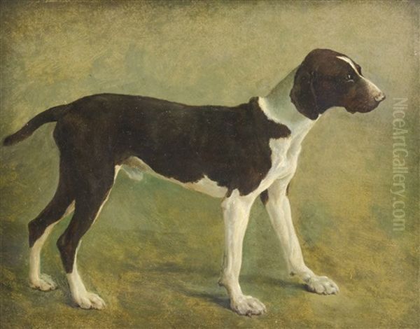 A Pointer - view 1