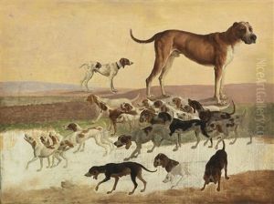 Study Of Dogs by Jacques-Laurent Agasse