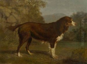 Hundeportrat In Einer Landschaft