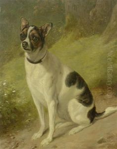 Etude D'un Chien Batard by Jacques-Laurent Agasse