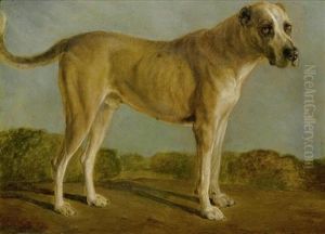 Jagdhund by Jacques-Laurent Agasse