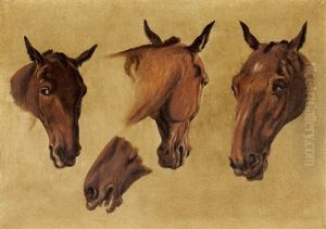 Etudes De La Tete D'un Cheval by Jacques-Laurent Agasse