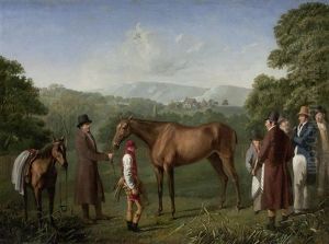 A Bay Racehorse Held By A Trainer