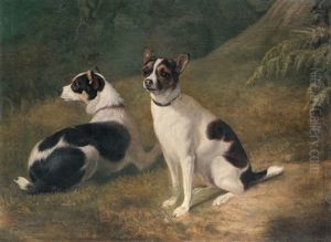 Deux Chiens - Zwei Jack Russel Terriers