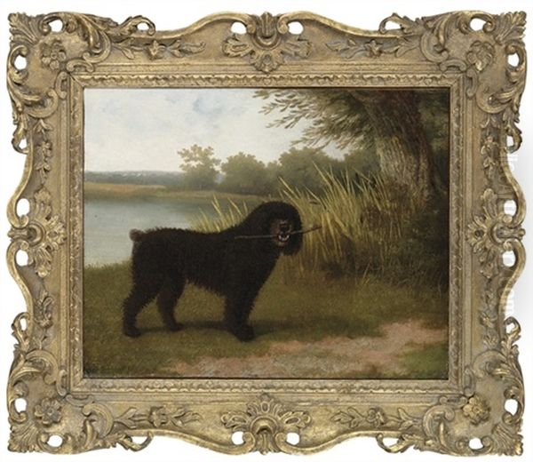 A Black Water Dog With A Stick By A Lake - view 1