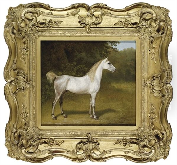 An Arab Stallion In A Landscape - view 1