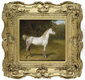An Arab Stallion In A Landscape