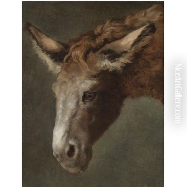 A Study For The Head Of A Donkey - view 1