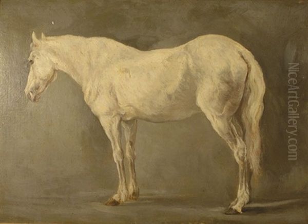 Portrait Of A Horse - Cheval Pommele Gris - view 1