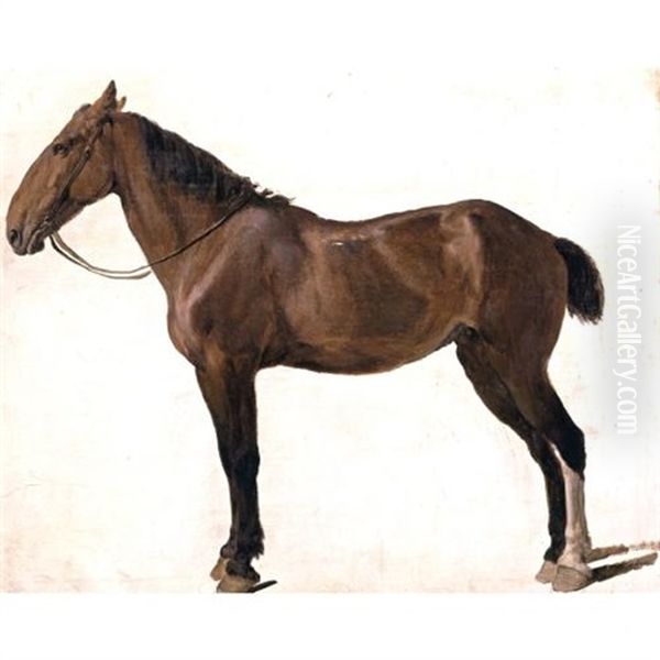 Portrait Of A Horse - view 1