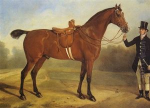 Portrait D'un Cheval Selle