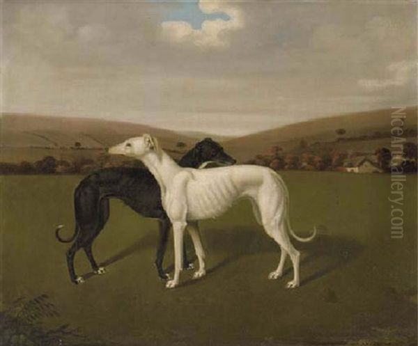 "garnet" And "guineapig", A Pair Of Greyhounds, In An Extensive Landscape - view 1