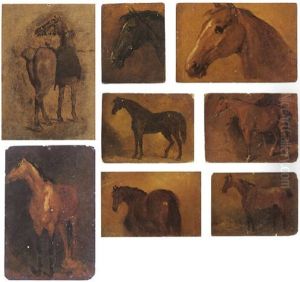 Study Of Horse Study Of Horse