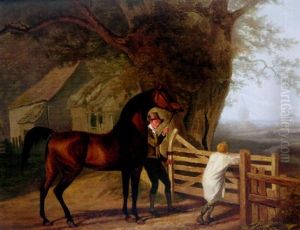 The Recehorse "bay Ascham" Being Led To His Paddock