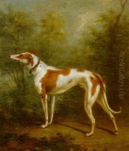A Hound In A Wooded Landscape