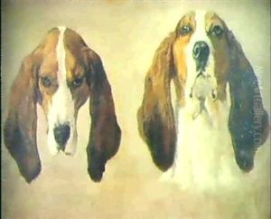 Studie Eines Hundeskopfes by Jacques-Laurent Agasse