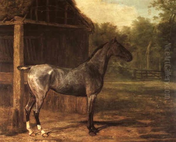 A Roan Mare By A Stable In A Landscape - view 1