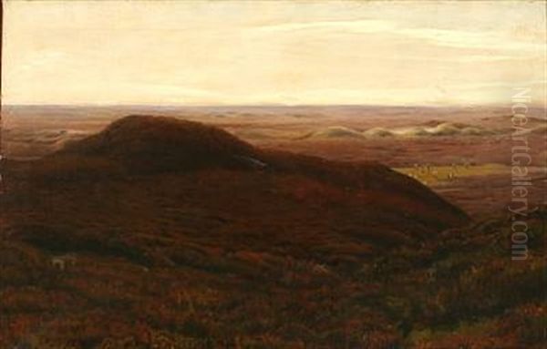 Moor Landscape With Grazing Sheep - view 1